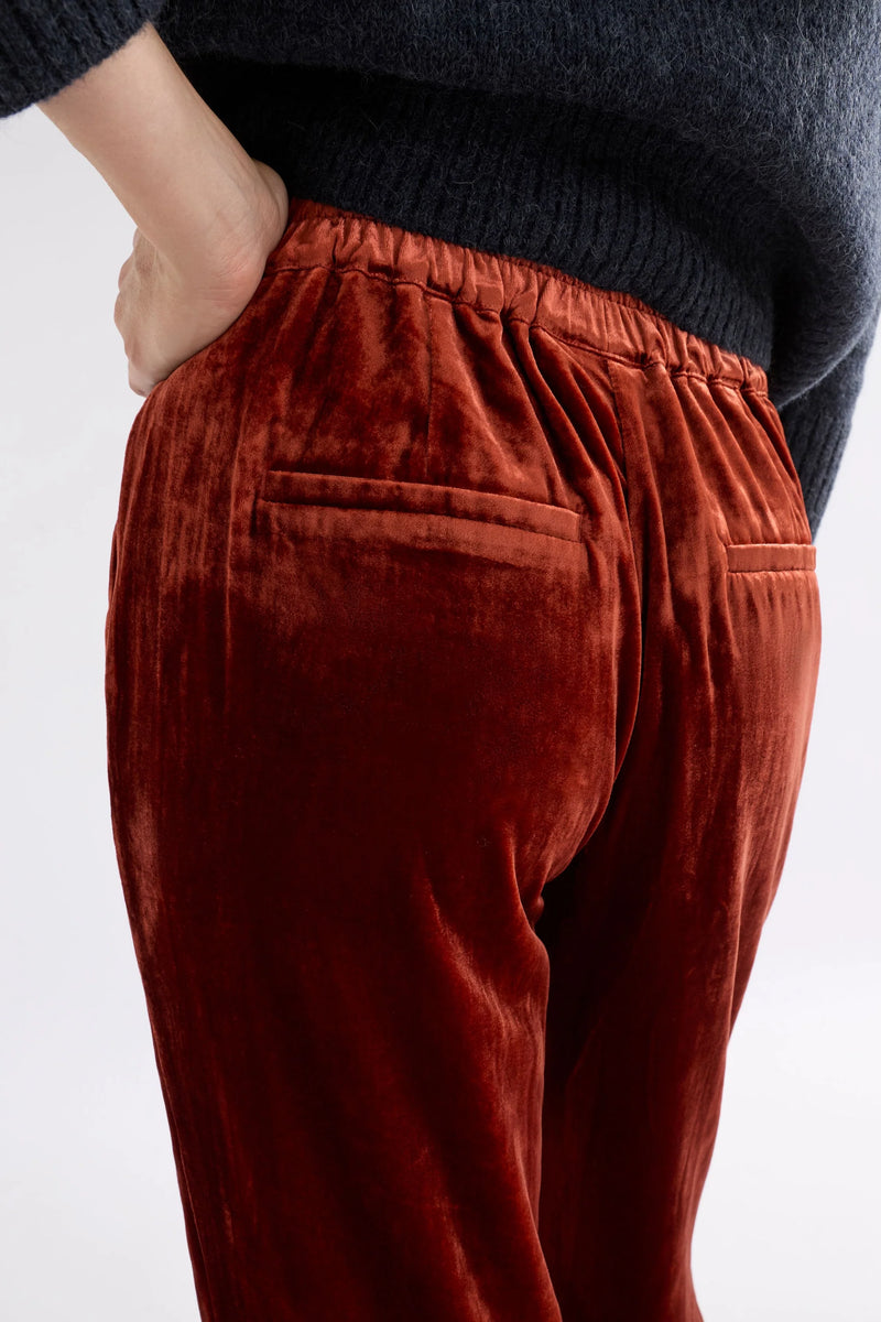 Dane Pant - Spice